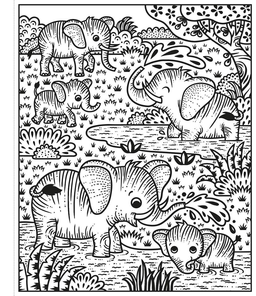 Zoo Magic Painting Book : Usborne