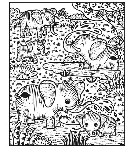Zoo Magic Painting Book : Usborne