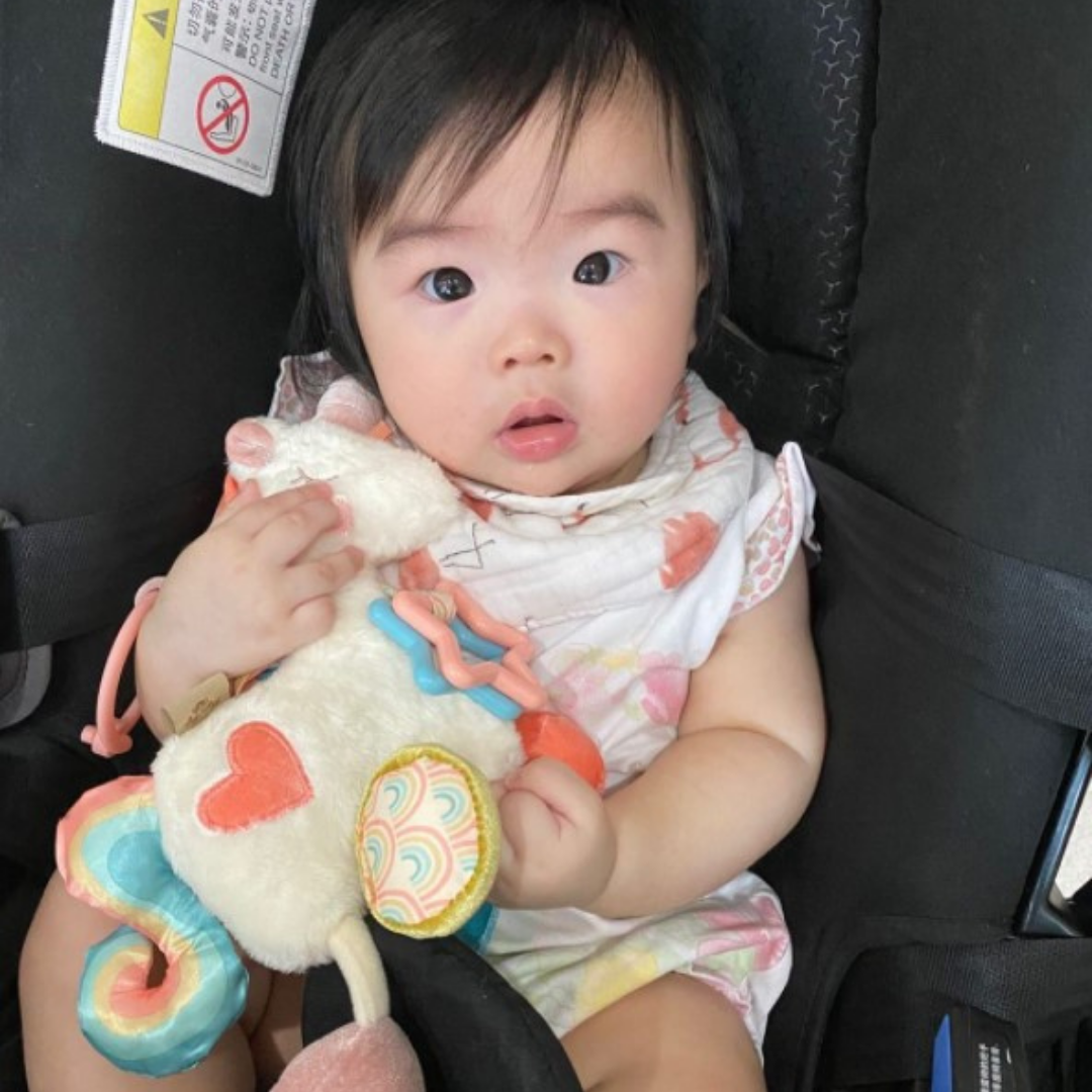 Itzy Friends Link & Love  Activity Plush with Teether Toy