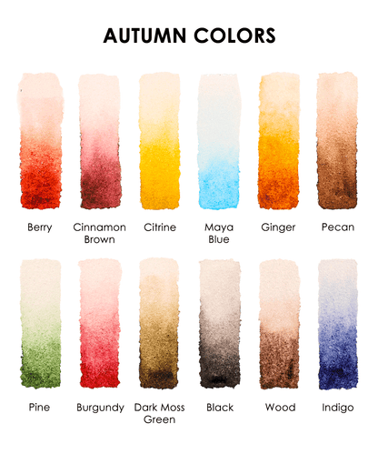 Watercolor Pocket Set Of 12 With Brush