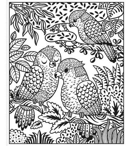 Zoo Magic Painting Book : Usborne
