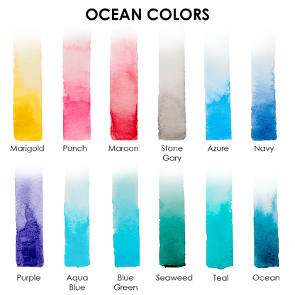 Watercolor Pocket Set Of 12 With Brush