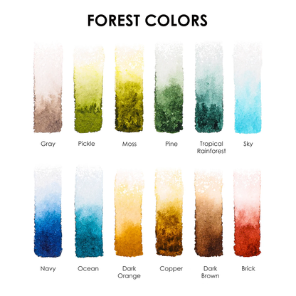 Watercolor Pocket Set Of 12 With Brush