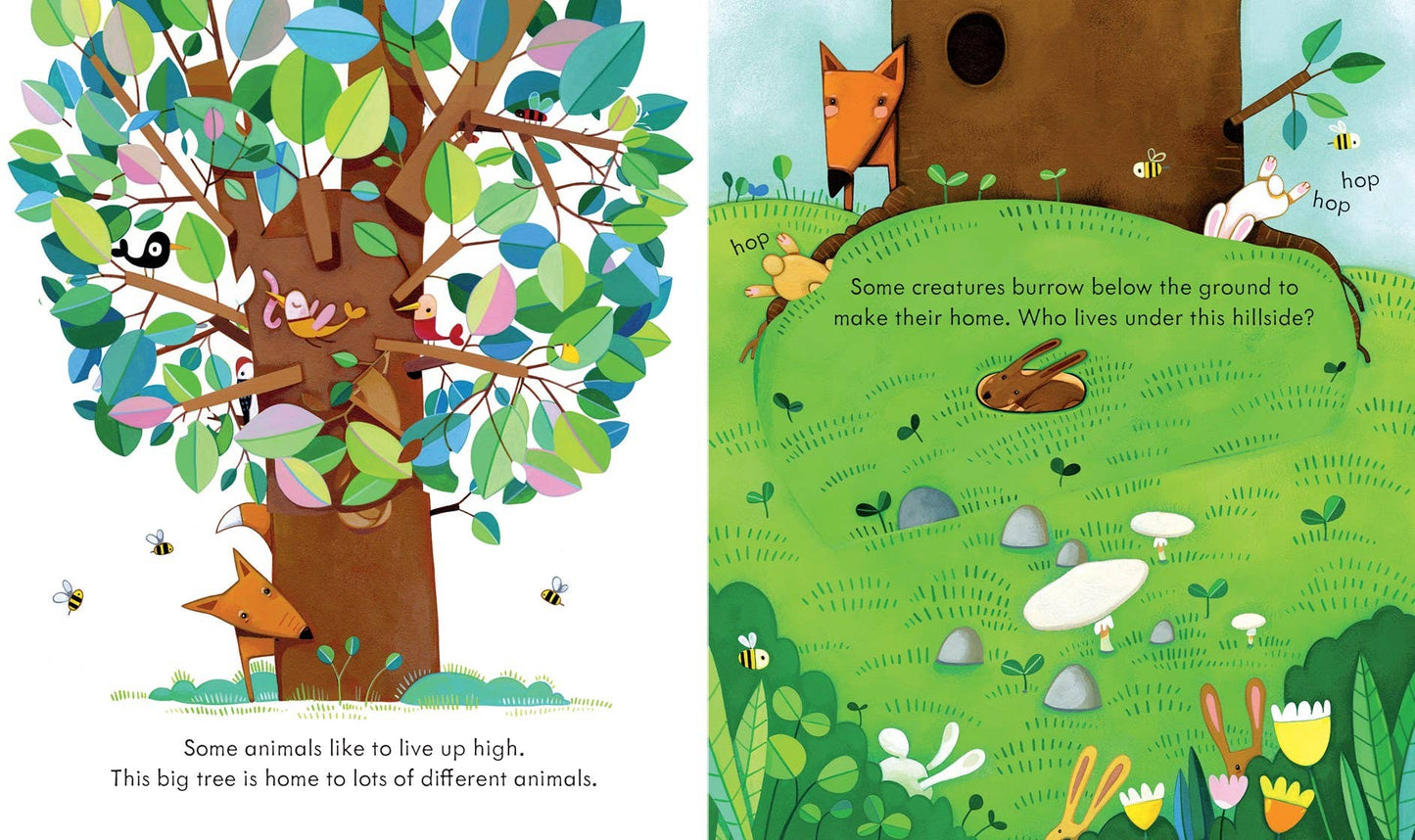 Peek Inside Animal Homes : Usborne