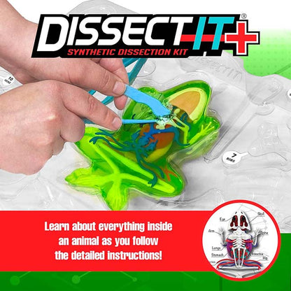 Dissect IT Frog