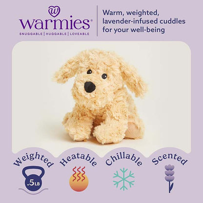 Golden Dog Junior Warmies
