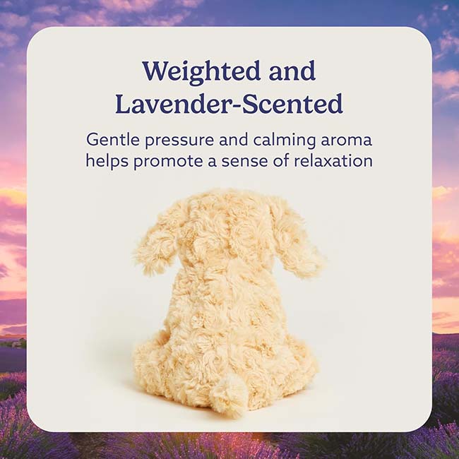 Golden Dog Junior Warmies