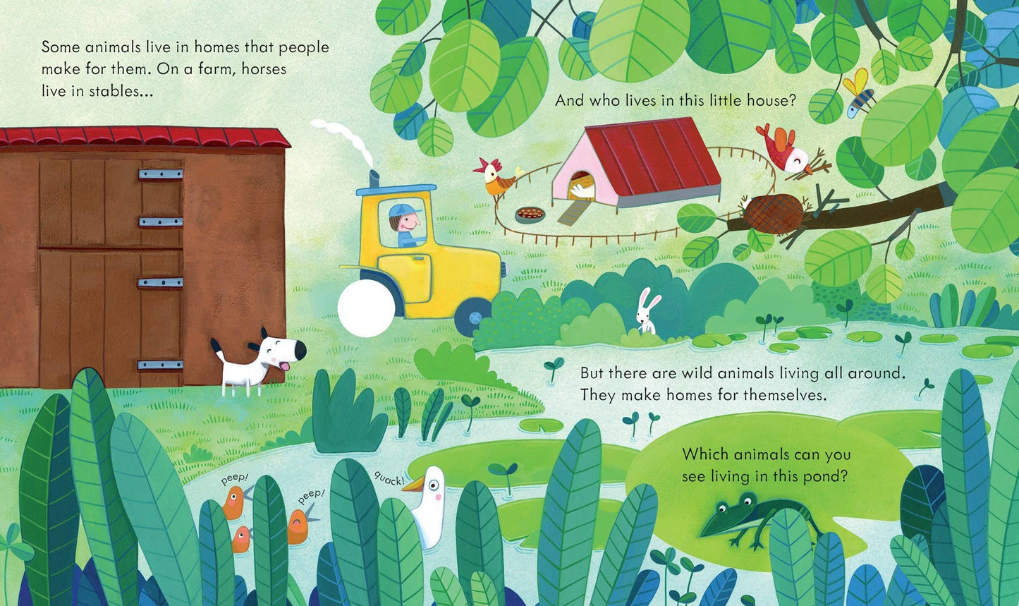 Peek Inside Animal Homes : Usborne