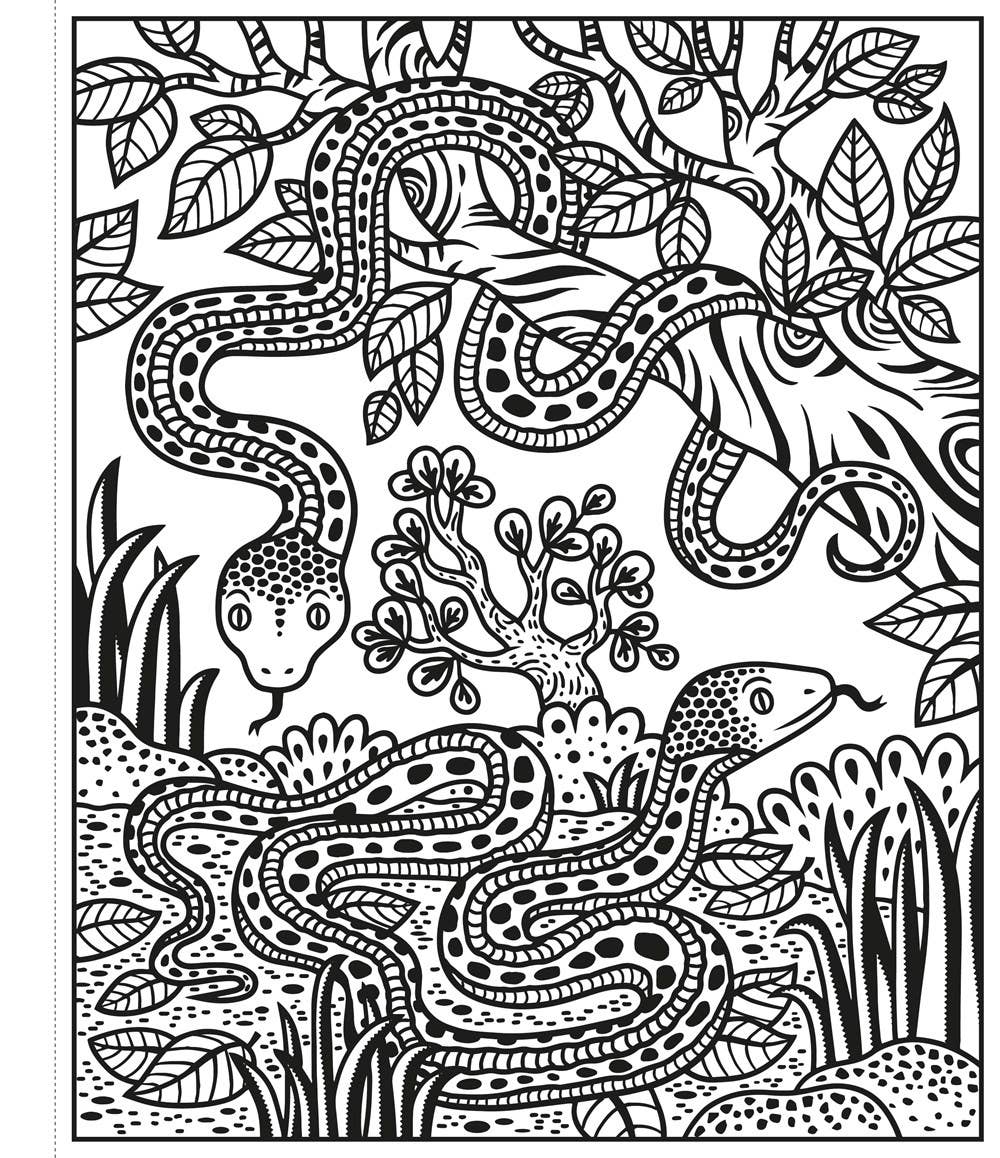 Zoo Magic Painting Book : Usborne