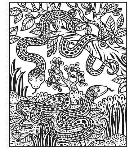Zoo Magic Painting Book : Usborne