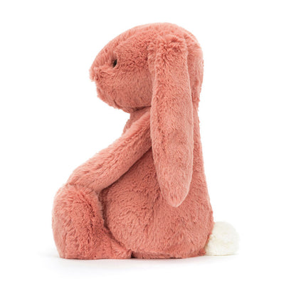 Bashful Bunny Sorrel