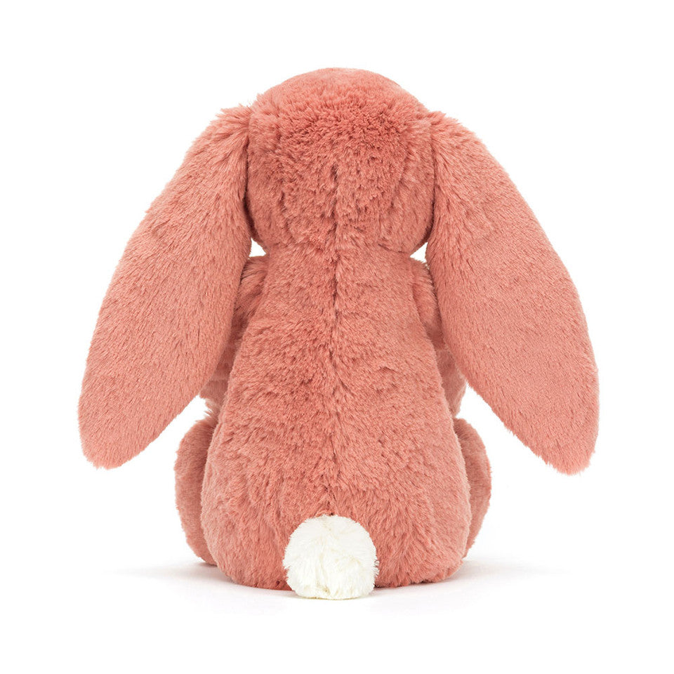 Bashful Bunny Sorrel