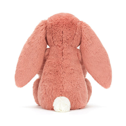 Bashful Bunny Sorrel