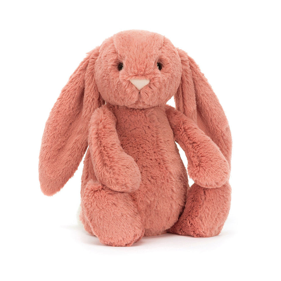 Bashful Bunny Sorrel