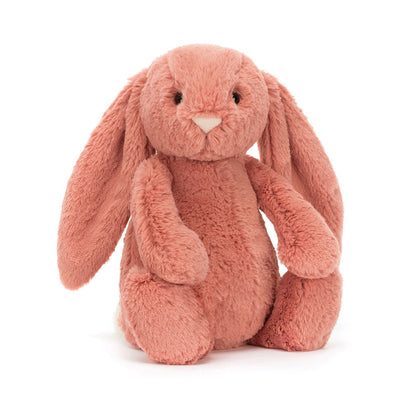 Bashful Bunny Sorrel