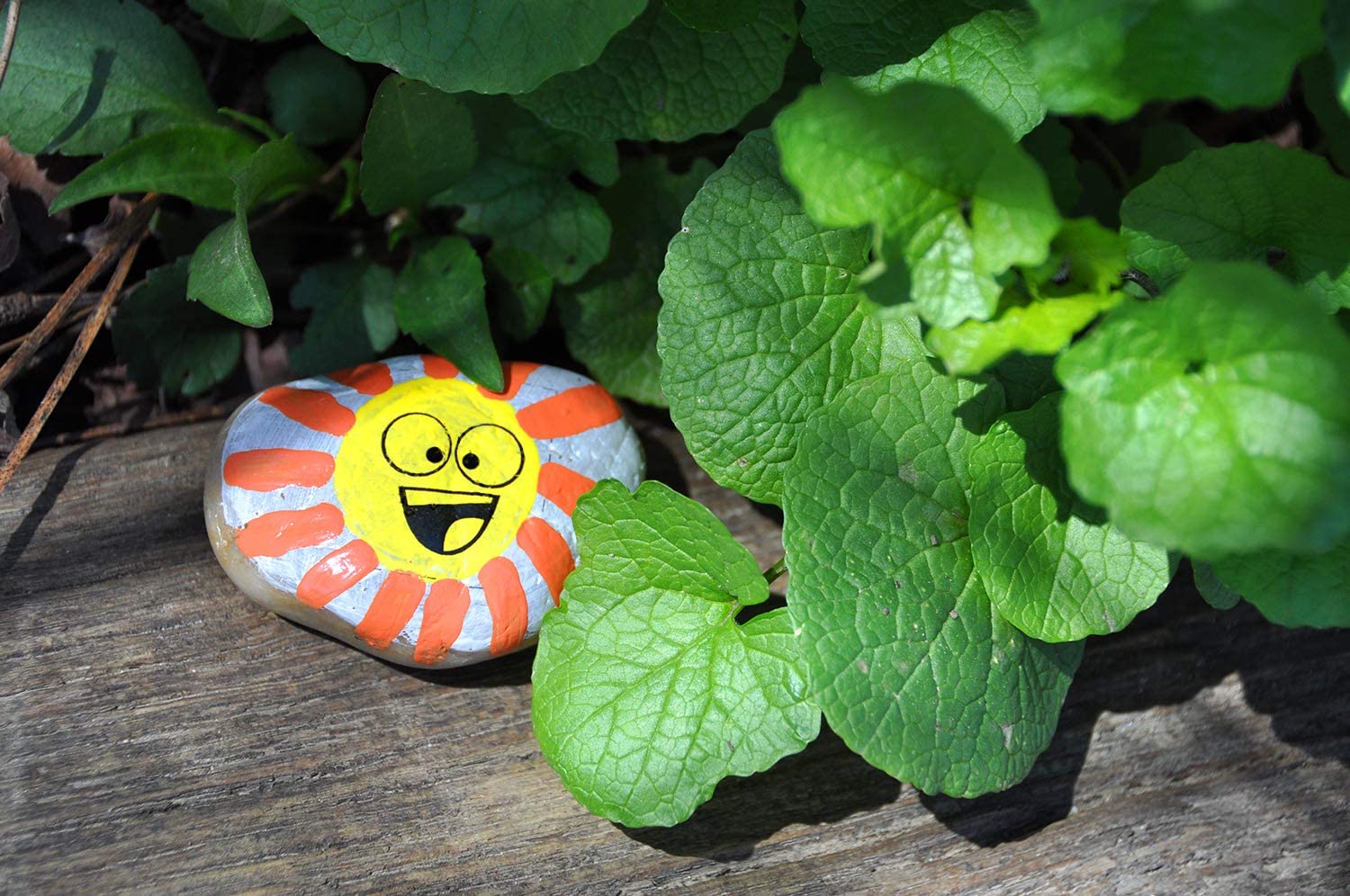 Hide & Seek Rock Painting
