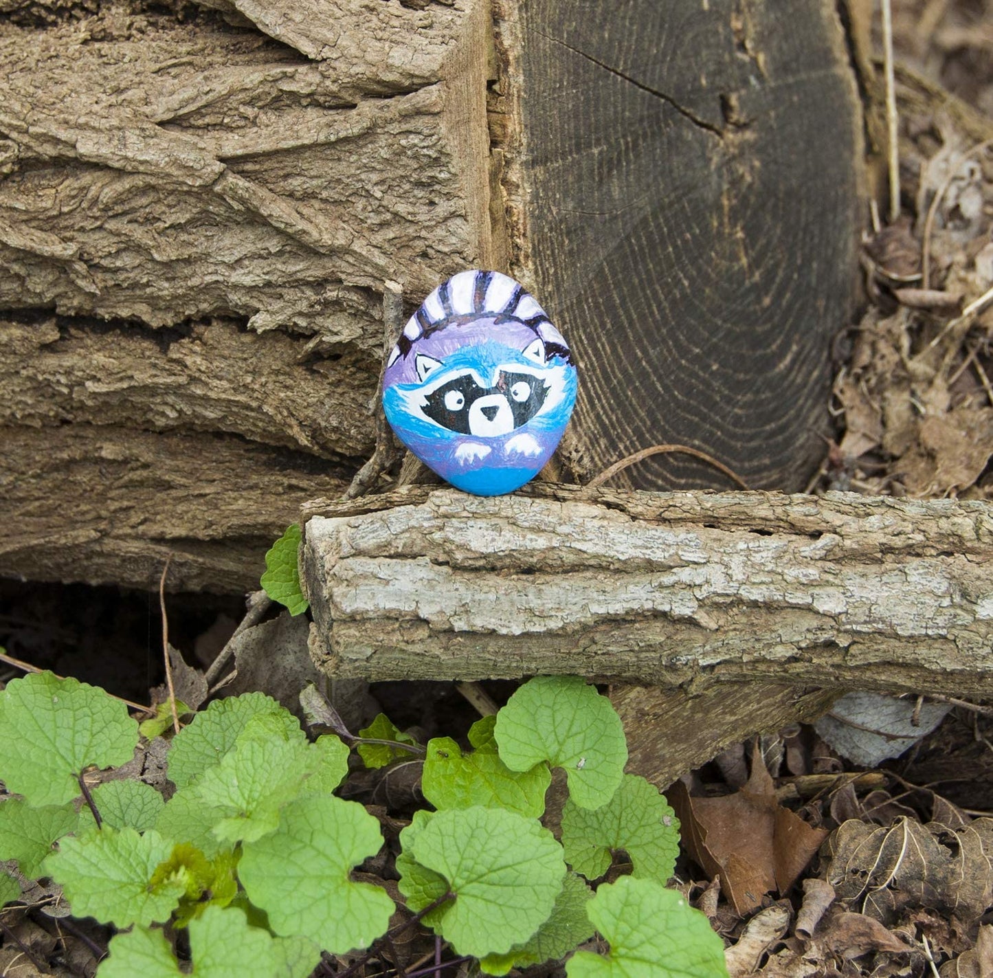 Hide & Seek Rock Painting