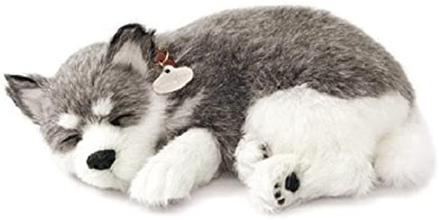 Alaskan Huskey Plush