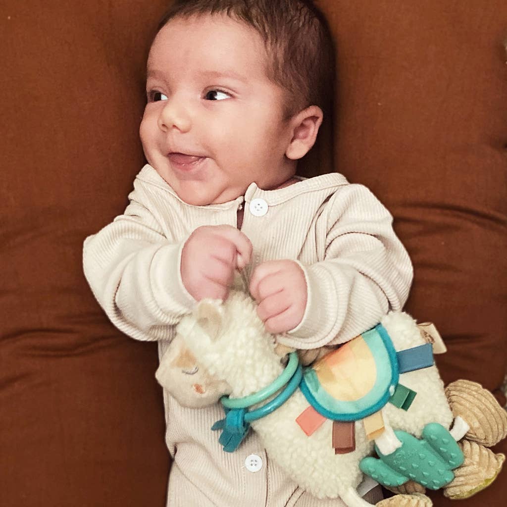Itzy Friends Link & Love  Activity Plush with Teether Toy