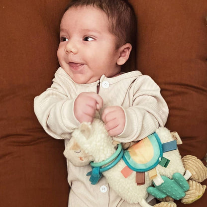 Itzy Friends Link & Love  Activity Plush with Teether Toy