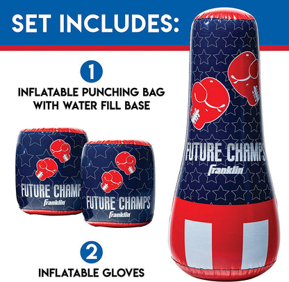 Punching Bag & Gloves