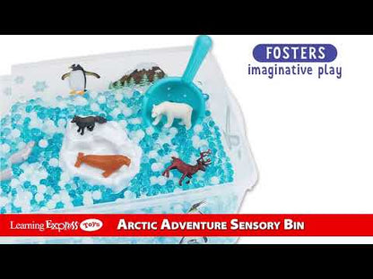 Sensory Arctic Adventure