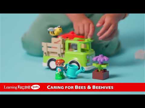 Caring for Bees & Beehive