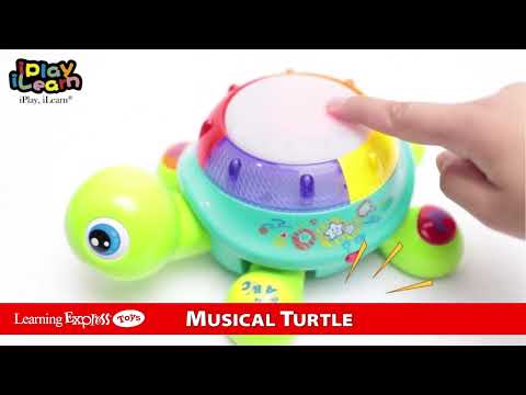 Music Turtle