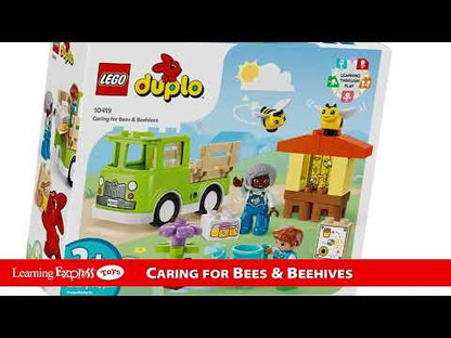 Caring for Bees & Beehive