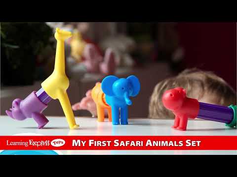 Smartmax Animal Safari