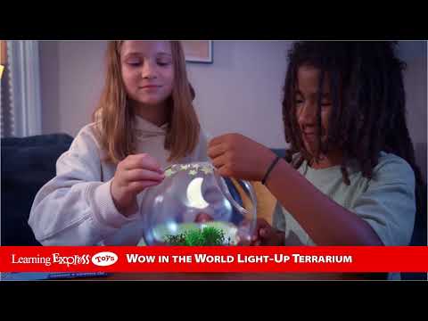 Ww Light-Up Terrarium