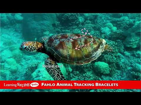 White Howlite Sea Turtle