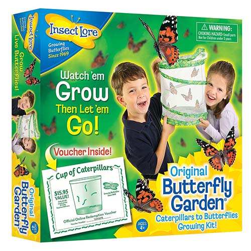 Butterfly Garden