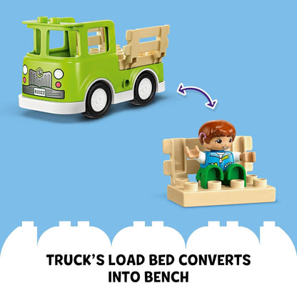 Caring for Bees & Beehive