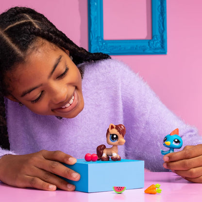 Lps Pet Pairs Assortment