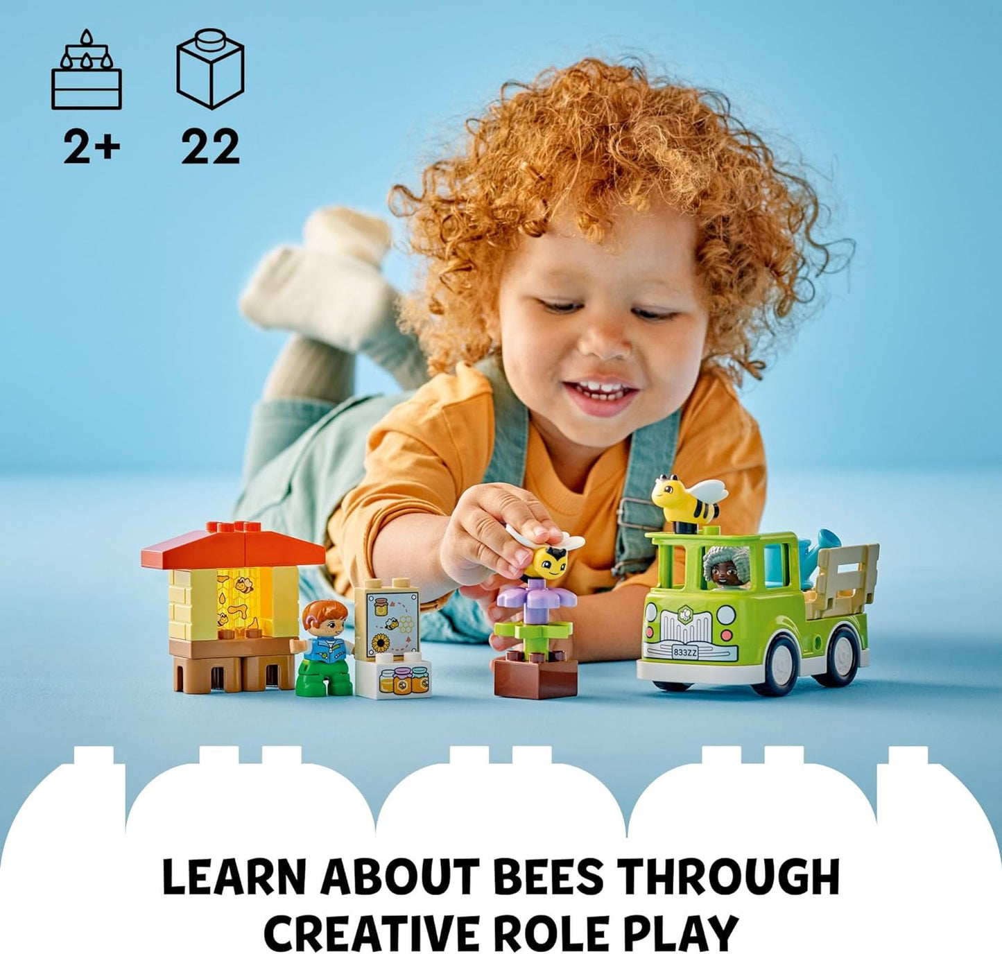 Caring for Bees & Beehive