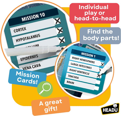 Human Body Under X-Ray