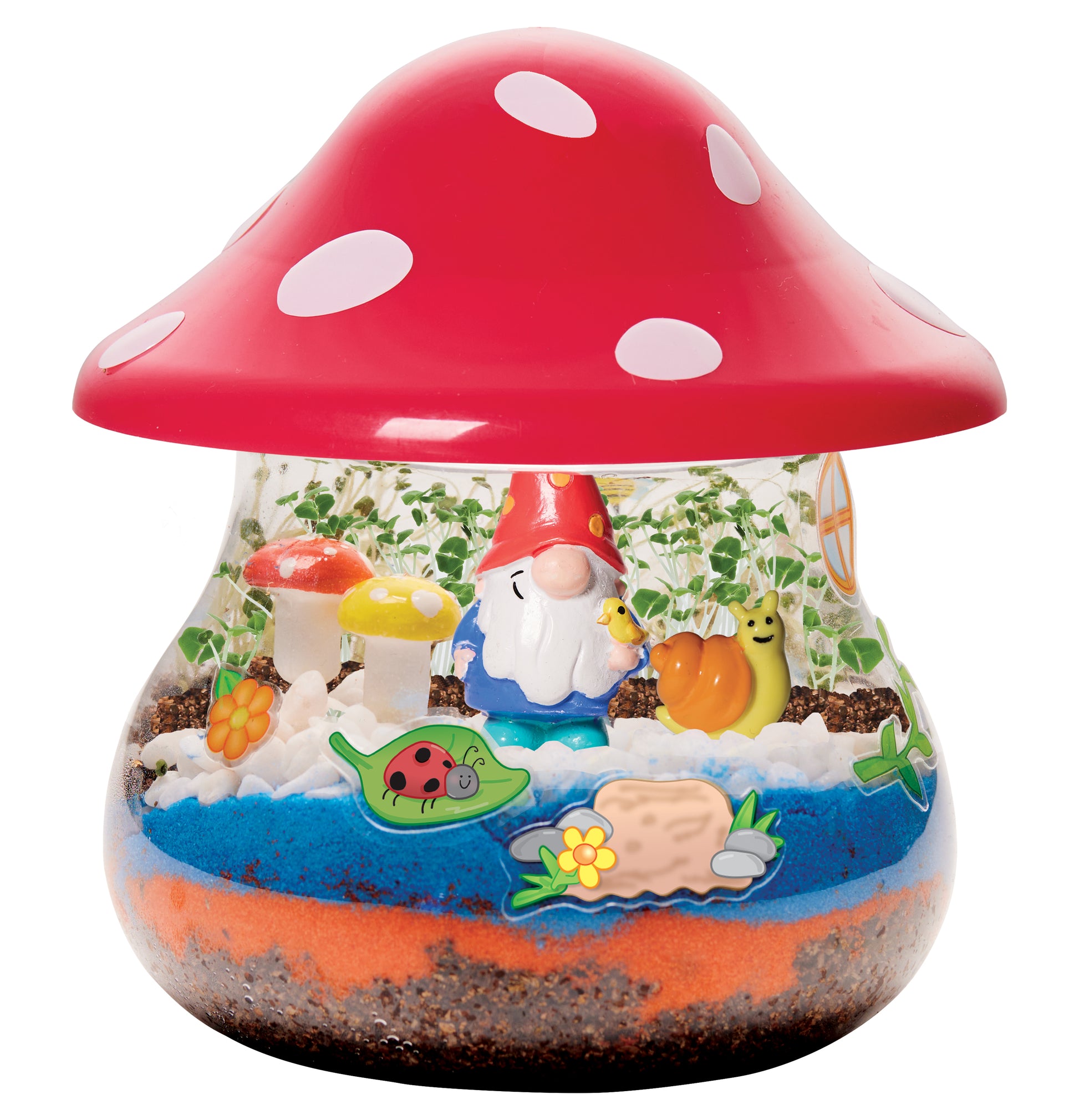 Plant Woodland Forest