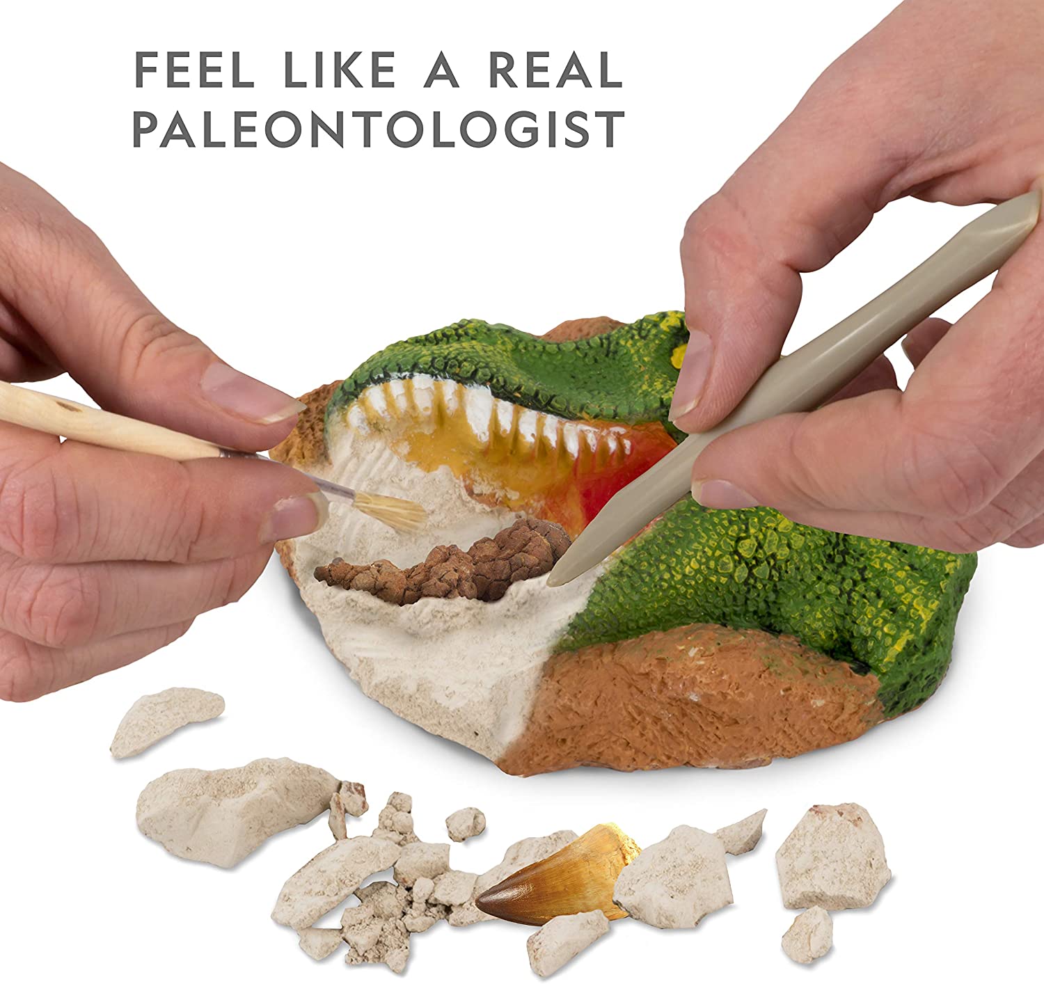 Ng Dino Fossil Dig Kit