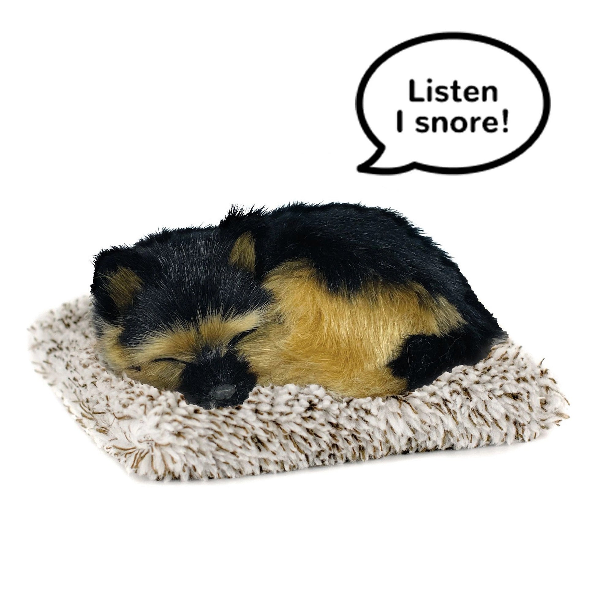 Mini German Shepherd