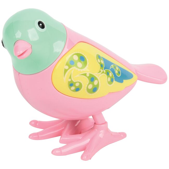 Wind Up Bird