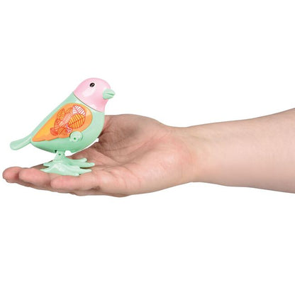 Wind Up Bird